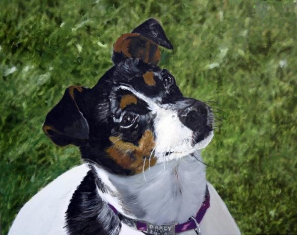 Darcy