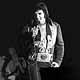 Elvis